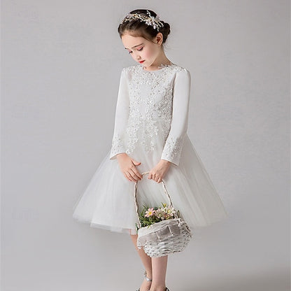 Girls' Dress Kid's Flower Girl Princess