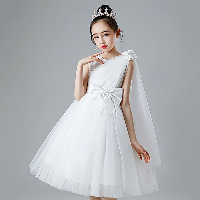 Girls' Kid's Dress Flower Girl Princess