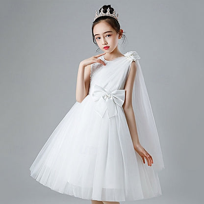 Girls' Kid's Dress Flower Girl Princess