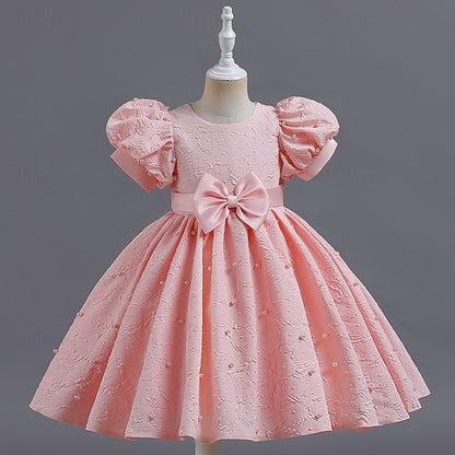 Princess Dress Girls' Flower Kid's Girl