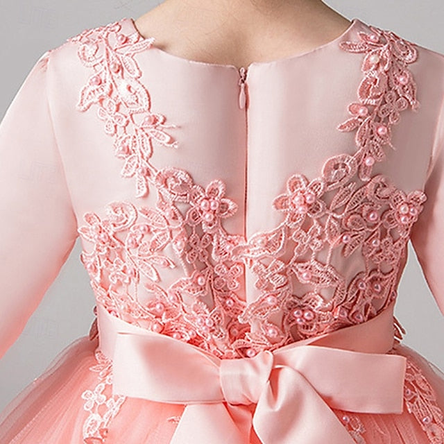 Girls' Dress Kid's Flower Girl Princess