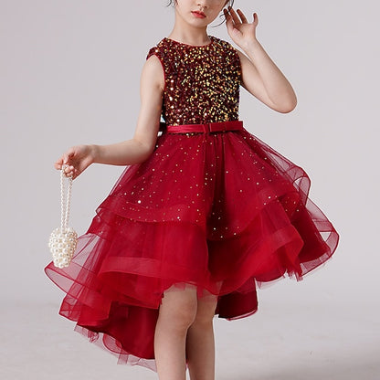 Princess Party Girl Girls' Flower Dress