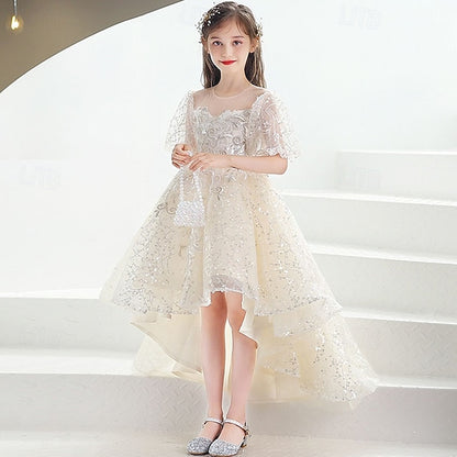 Girl Kid's Flower Girls' Princess Dress