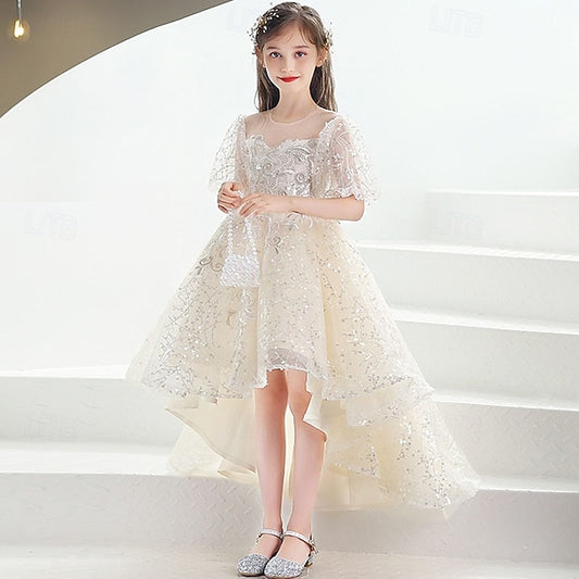 Girl Kid's Flower Girls' Princess Dress