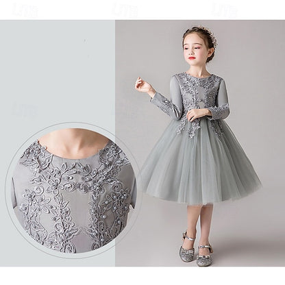 Girls' Dress Kid's Flower Girl Princess