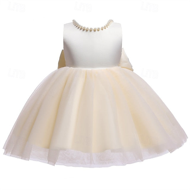 Girl Kid's Dress Princess Flower Girls'