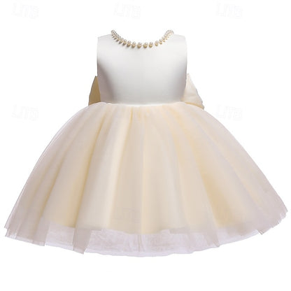 Girl Kid's Dress Princess Flower Girls'