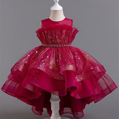 Flower Girls' Dress Girl Kid's Princess