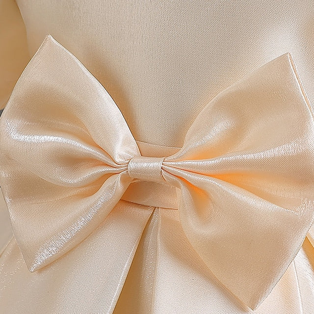 Special Girls' Girl Party Wedding Flower Dress