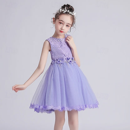 Girl Dress Flower Girls' Princess Kid's