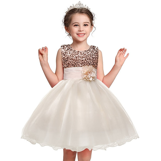 Party Wedding Girl Girls' Flower Dress