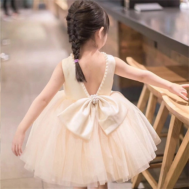 Girl Kid's Dress Princess Flower Girls'