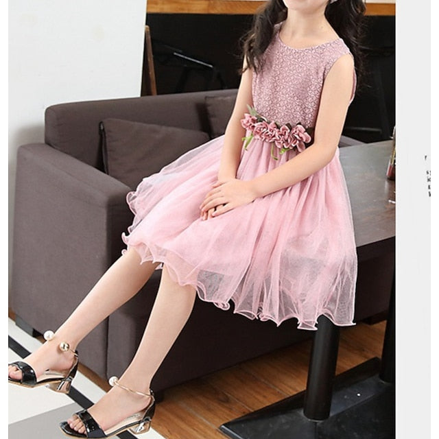 Performance Party Flower Girls' Dress Girl